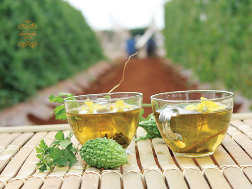  Lá mướp đắng phơi khô nấu trà uống