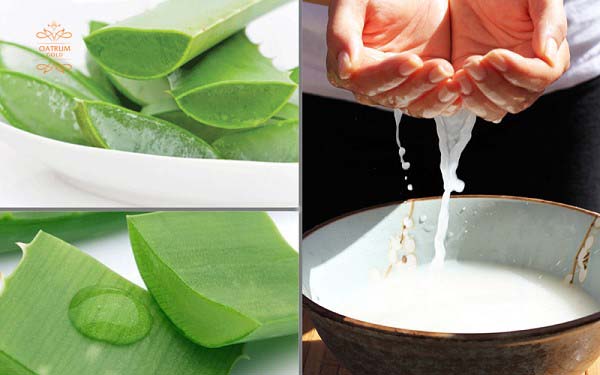 Nước vo gạo và nha đam giúp làm sạch da, lấp đầy sẹo rỗ rất tốt.