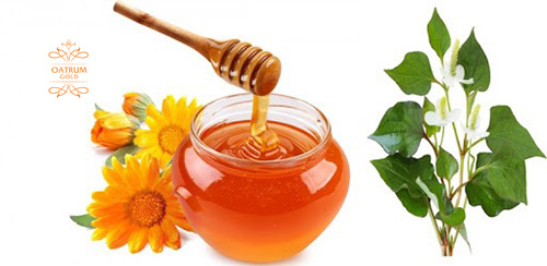  Mật ong và rau diếp cá