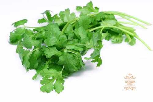  Rau mùi có khả năng xoá bỏ các vết sạm da và tàn nhang trên da.