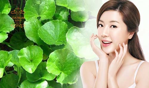 Rau má giúp tăng sản sinh collagen để lấp đầy nhanh các vết sẹo rỗ.