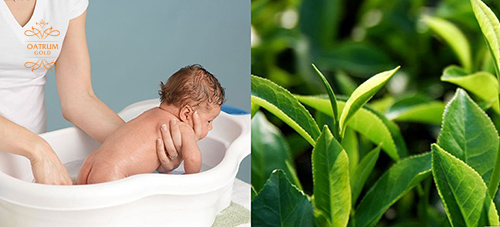 Tắm lá chè xanh hạn chế tình trạng trẻ sơ sinh nổi mụn đầu trắng.