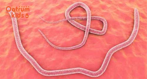  Cần đưa trẻ đến những cơ sở y tế để được điều trị đúng khi bị nhiễm sán dây