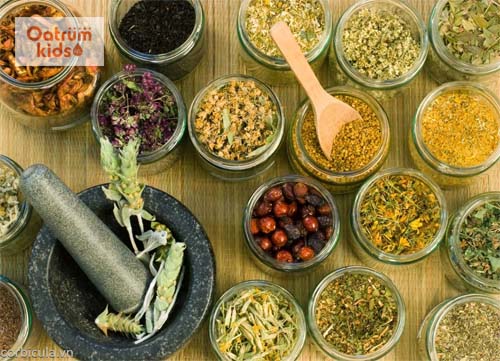  Điều trị bệnh zona thần kinh bằng thuốc Đông y