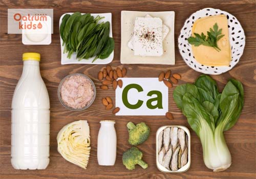 Bổ sung thực đơn giàu canxi và vitamin D cho bé trong thời kỳ phát triển