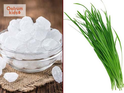  Đường phèn và lá hẹ là bài thuốc trị khò khè ở trẻ sơ sinh cực tốt