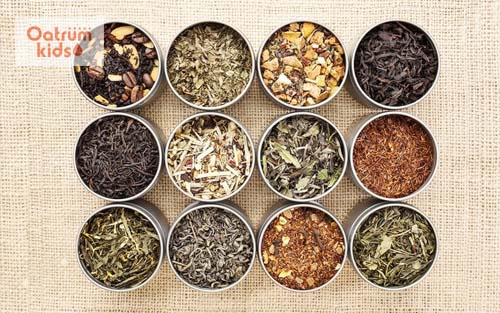 Bài thuốc trị mề đay tận gốc thể phong nhiệt