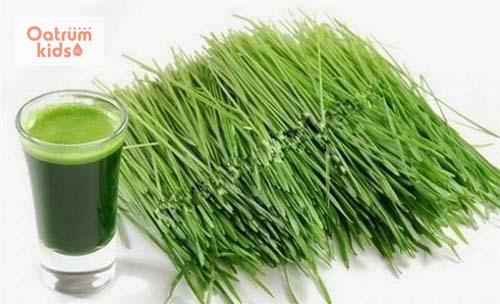  Bài thuốc trị mề đay từ lá hẹ