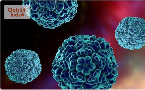  Virus enterovirus 71 gây ra những biến chứng nguy hiểm