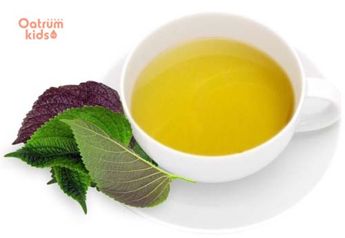  Uống nước lá tía tô giúp thúc đẩy cổ tử cung giãn nở để bé chào đời dễ dàng.