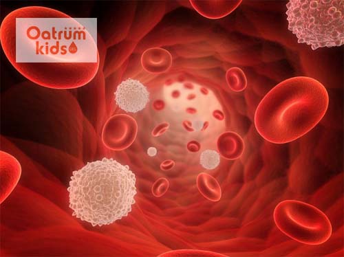  Bệnh nhiễm trùng máu ở trẻ có thể gây tử vong