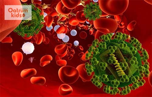  Các vi khuẩn và virus xâm nhập vào máu gây nên nhiễm trùng