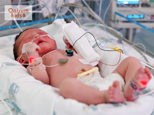 Nhiễm trùng máu là bệnh lý nguy hiểm