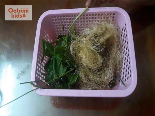 Chữa đái dắt cho trẻ bằng râu ngô, mã đề và ngọn tre