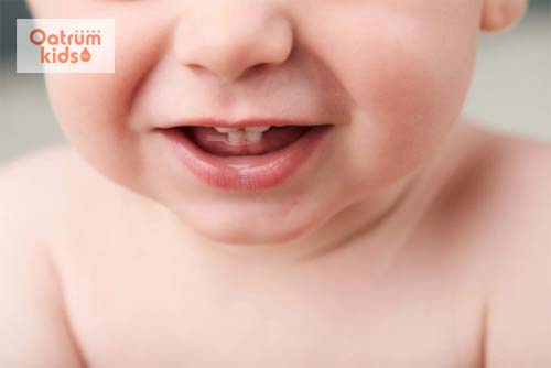 Trẻ bắt đầu mọc những chiếc răng đầu tiên khi bước vào tháng thứ 6.