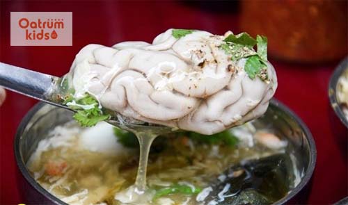 Óc heo là thực phẩm bổ dưỡng thích hợp với trẻ nhẹ cân, chậm lớn.