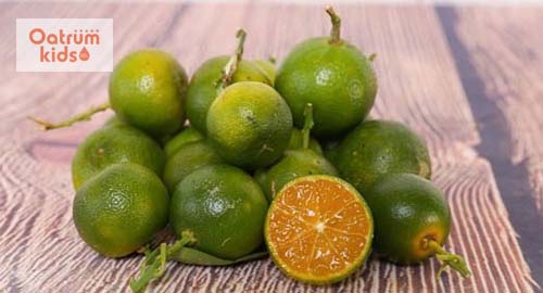  Dùng quất chưng với đường phèn cho bé uống giúp trị khàn tiếng tốt.