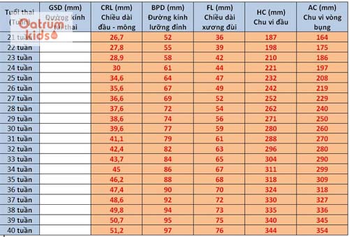  Chỉ số chiều dài xương đùi thai nhi theo tuần.