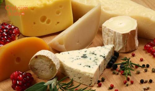 Thực phẩm giàu chất béo chứa cholesterol làm khởi phát cơ địa dị ứng