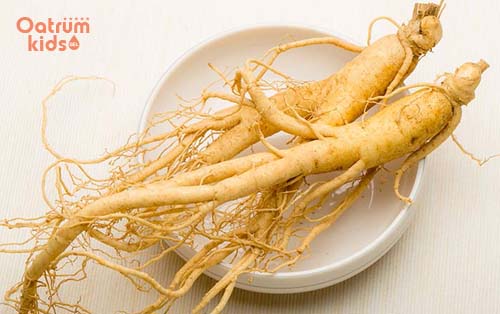 Nhân sâm không chỉ bổ mà còn cải thiện chàm sữa ở trẻ