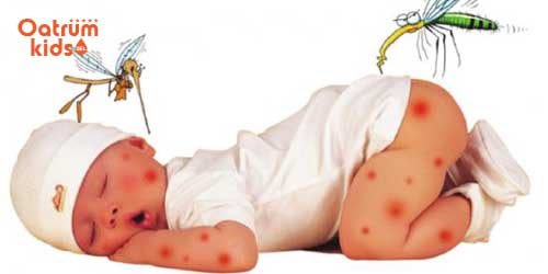 Muỗi là vật trung gian làm lây lan các bệnh truyền nhiễm nguy hiểm