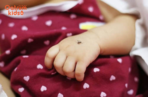 Trẻ bị muỗi đốt có thể lây bệnh truyền nhiễm