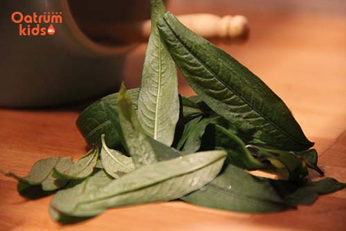 Bài thuốc dân gian trị côn trùng cắn ở trẻ rất phổ biến