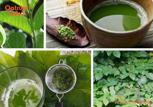 Trị hăm bằng bài thuốc dân gian chưa bao giờ lỗi mốt