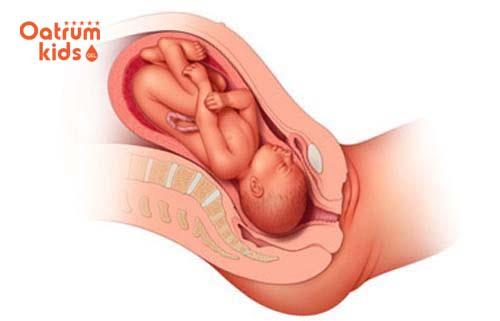  Cổ tử cung mở mẹ sắp chuyển dạ