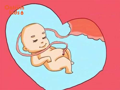 Nguyên nhân gây dây rốn quấn cổ thai nhi