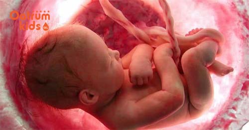 Mẹ vẫn có thể sinh thường khi bé bị dây rốn quấn cổ