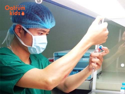   Hình ảnh thụ tinh trong IVF