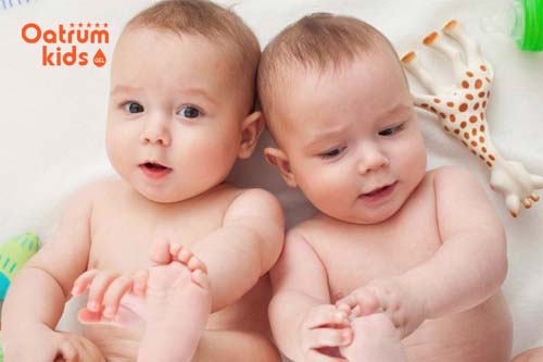  Sử dụng thuốc thảo dược giúp tăng khả năng mang thai đôi.