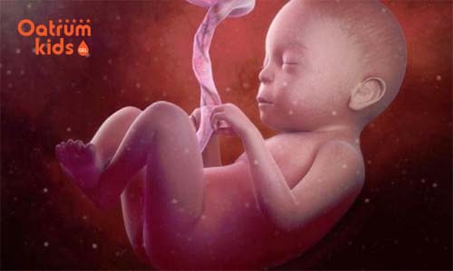 Thai nhi phát triển đầy đủ nhất khi được 39 tuần trở đi.