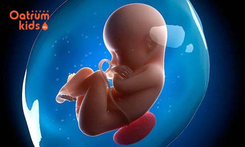  Thai nhi quá bé mẹ phải làm sao?