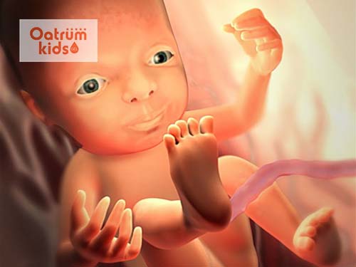  Thai nhi 26 tuần đã có thể mở mắt và nấc cụt.