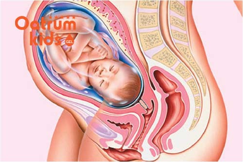 Thai 40 tuần tuổi là thời điểm chào đời thuận lợi nhất.