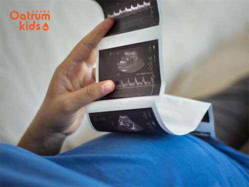 Thai 5 tuần tuổi đã bắt đầu có phôi thai và noãn hoàng.