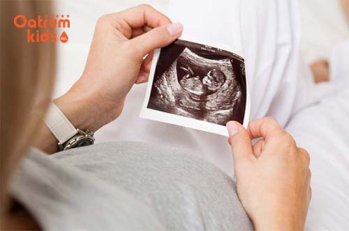 Tim thai dao động trung bình 110 - 160 lần/ phút.