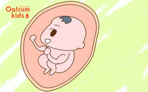 Thai nhi 12 tuần tuổi đã biết phản xạ lại khi mẹ chạm tay vào bụng.