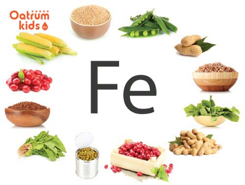  Bổ sung nhiều thực phẩm giàu chất sắt khi mang bầu 15 tuần.