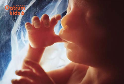  Thai nhi 22 tuần tuổi đang rất phát triển thính giác, bé nghe rõ được âm thanh.