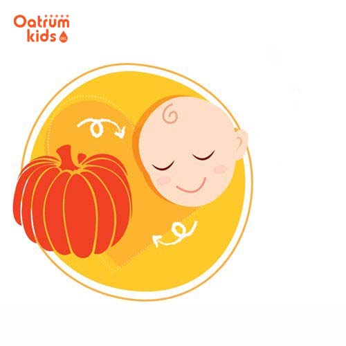  Cân nặng thai nhi 38 tuần tuổi dao động 3,1kg, cỡ như quả bí ngô.