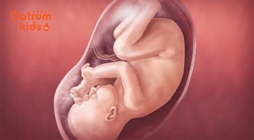  Thai nhi 32 tuần tuổi đã gần như hoàn thiện não bộ, biết bộc lộ cảm xúc.