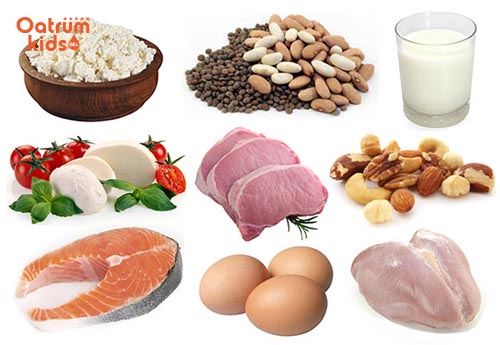 Trẻ nổi mẩn ngứa kiêng ăn gì - Thực phẩm giàu protein khiến mẩn ngứa ở trẻ thêm nặng
