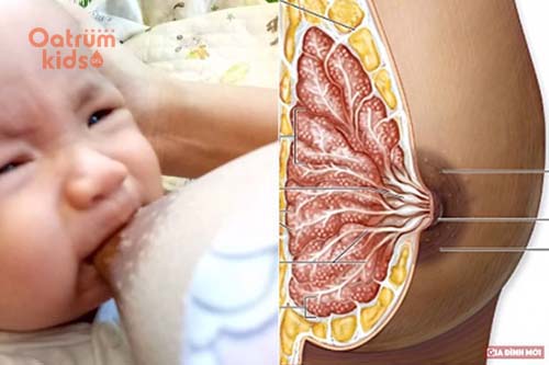 Nứt đầu ti thường xảy ra khi mẹ bỉm cho con bú