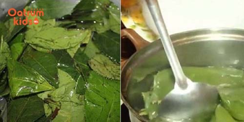 Nước chè xanh – “vị cứu tinh” giúp trẻ thoát khỏi hăm tã - Trị hăm tã bằng lá chè xanh