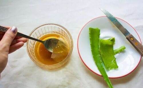 Mật ong và nha đam