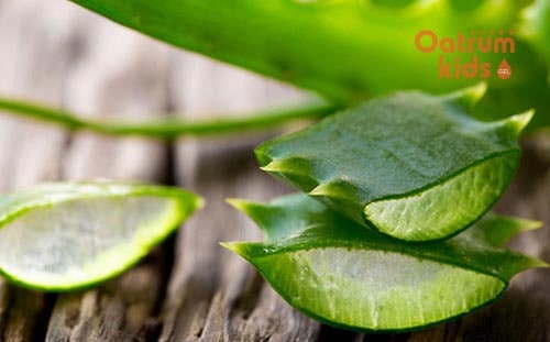 Nha đam giúp chống viêm, giảm đau