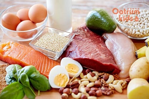 Thực phẩm giàu protein tốt cho quá trình tái tạo tế bào da ở trẻ